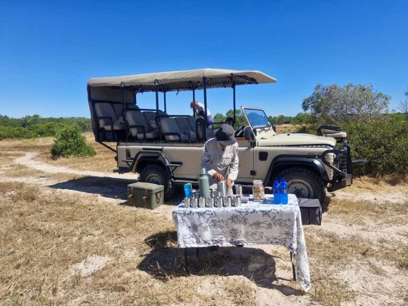 Yzerfontein: Safari at West Coast Private Game Reserve - What to Bring and What to Know