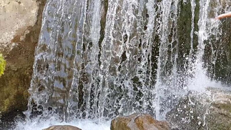 Zaamin Day Trip from Samarkand Nature Adventure Scenic Views - An Overview of the Tour Experience