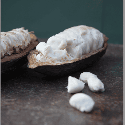 zaandijk-chocolate-making-demonstration-tasting