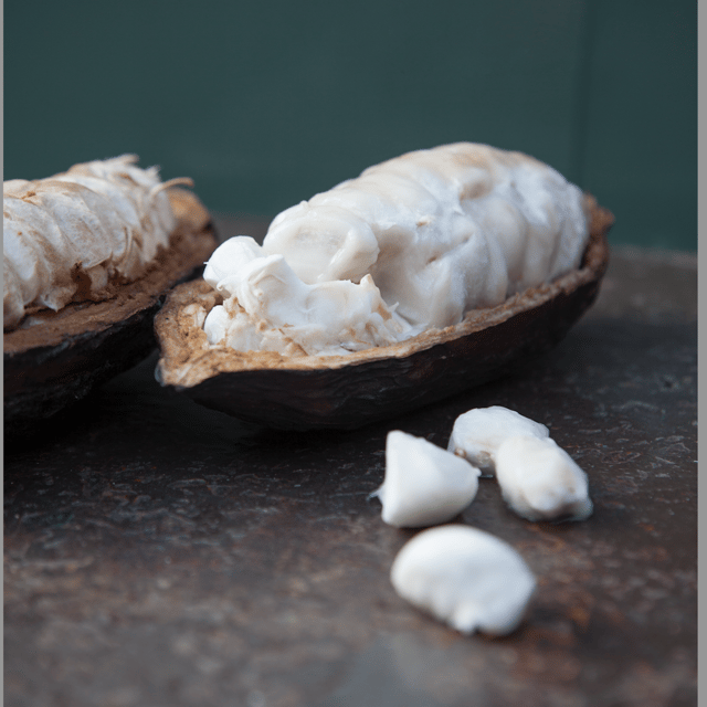 zaandijk-chocolate-making-demonstration-tasting