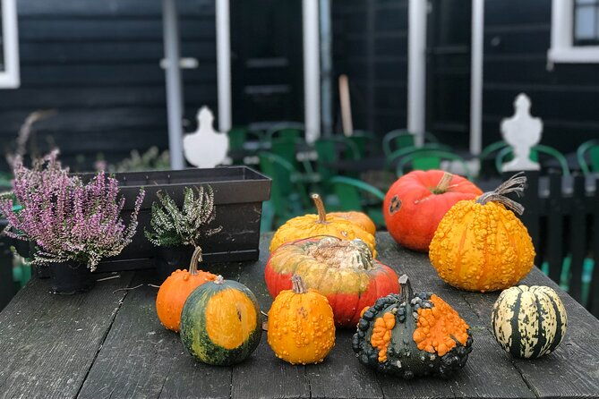 zaanse-schans-and-giethoorn-small-group-tour-with-hotel-pick-up