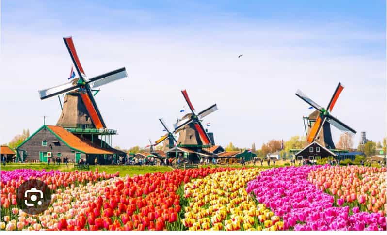 zaanse-schans-cheesefactory-volendam-private-tour