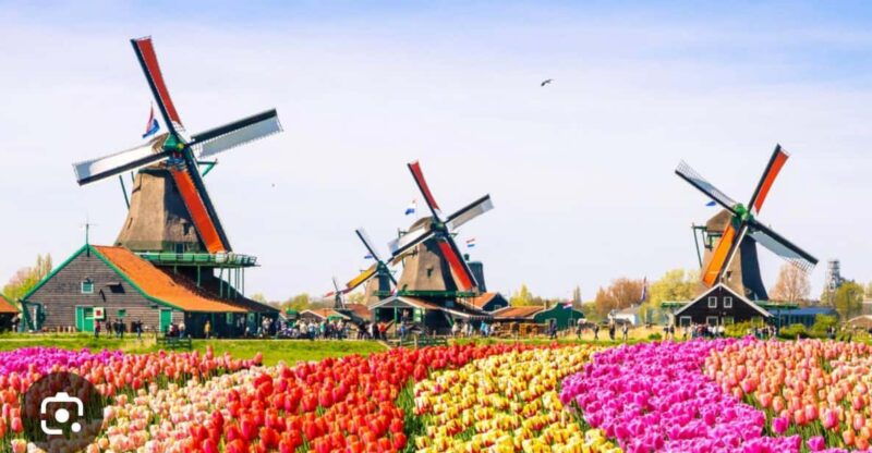 zaanse-schans-cheesefactory-volendam-private-tour