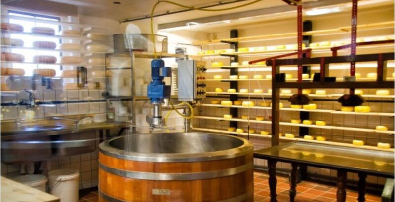 zaanse-schans-cheesefactory-volendam-private-tour