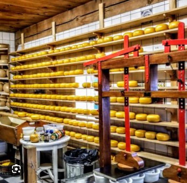 zaanse-schans-cheesefactory-volendam-private-tour