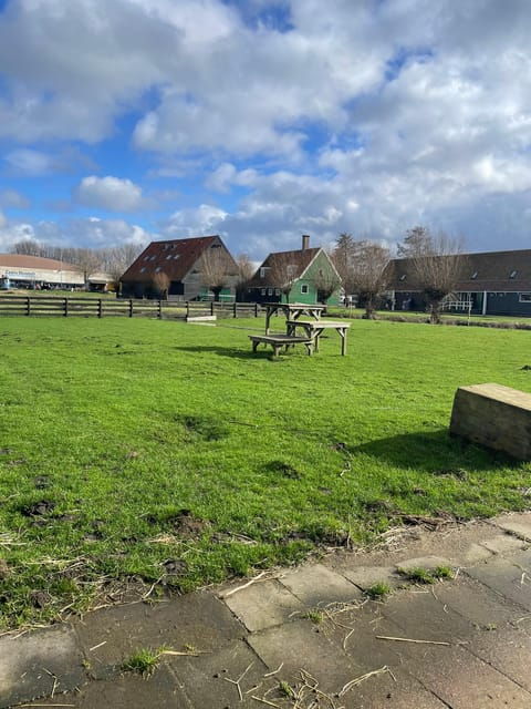 zaanse-schans-half-day-private-guided-tour