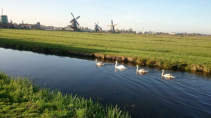 zaanse-schans-windmills-4-hour-tour-in-italian