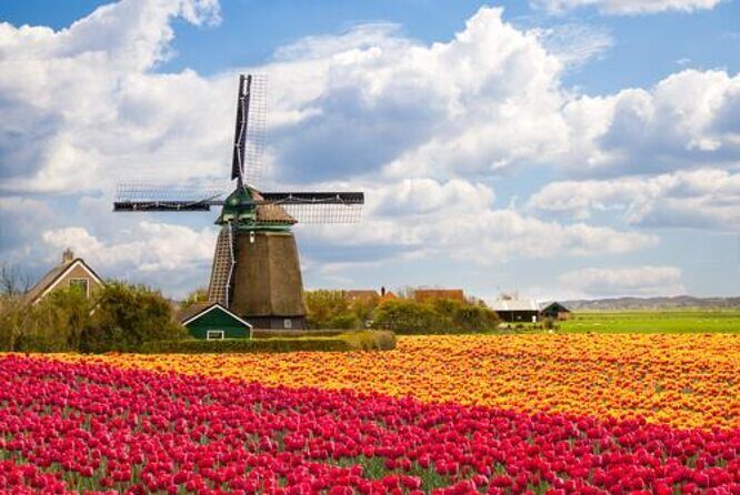 Zaanse Schans Windmills, cheese and clogs and Volendam tour from Amsterdam - Insights from Past Travelers