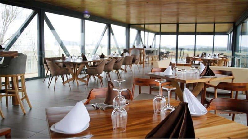 zacatecas-campo-real-winery-tour