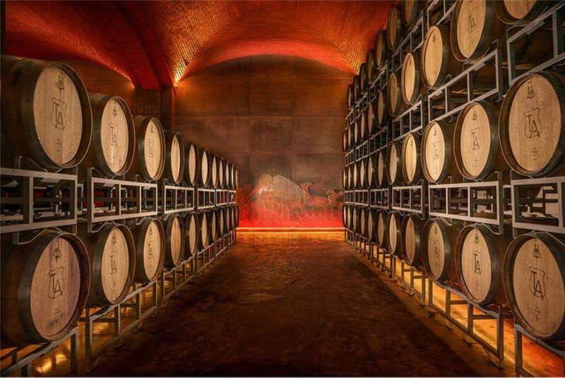 zacatecas-campo-real-winery-tour