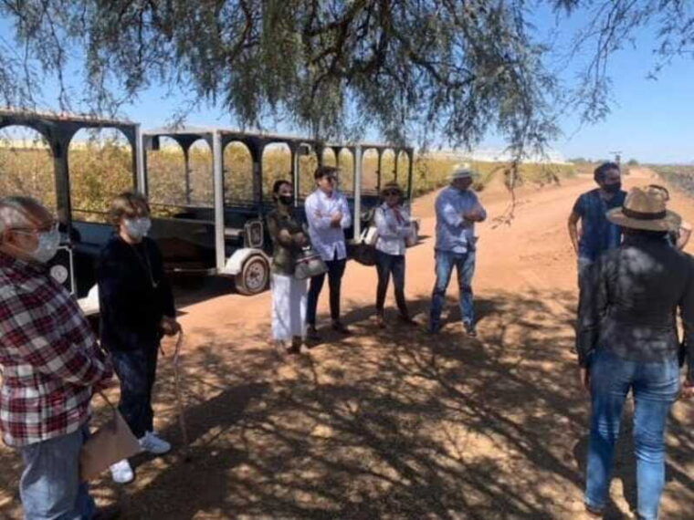 zacatecas-campo-real-winery-tour