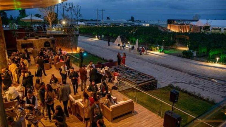 zacatecas-campo-real-winery-tour