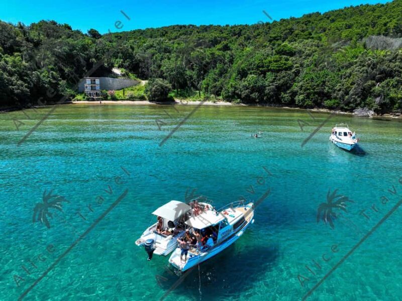 Zadar: 3 Island Speedboat Tour with Gin & Tonic and Wine - What to Expect from the Zadar 3 Island Speedboat Tour