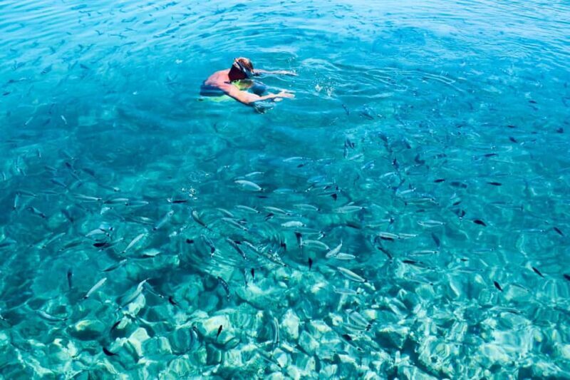Zadar: 3-Islands Snorkeling, Beach, and Sightseeing Tour - FAQs