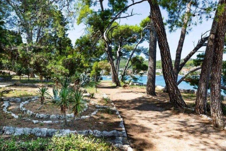zadar-3-islands-speedboat-tour-with-snorkeling-and-drinks
