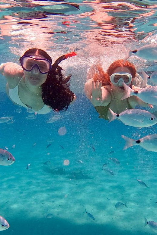 zadar-dugi-otok-island-discovery-day-trip-with-snorkeling