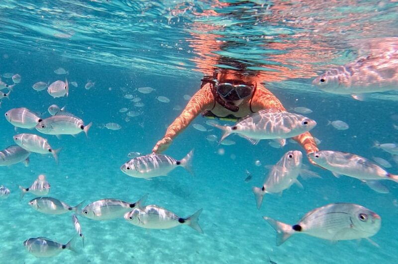 zadar-dugi-otok-island-discovery-day-trip-with-snorkeling