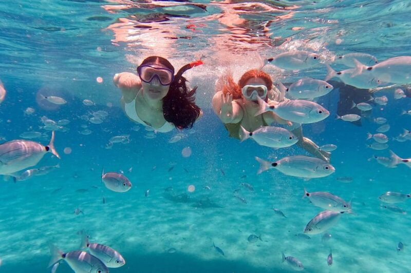 zadar-island-hopping-swimming-snorkeling-speedboat-tour