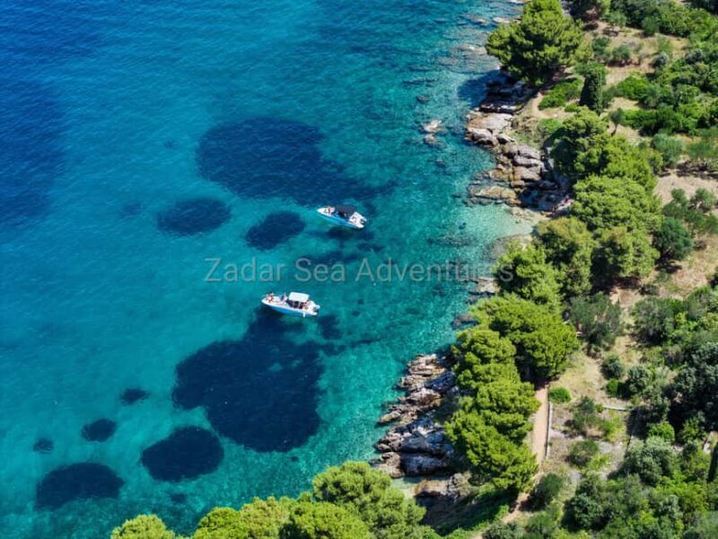 Zadar: Island Hopping Tour Swim and Snorkel with Drinks - Key Points