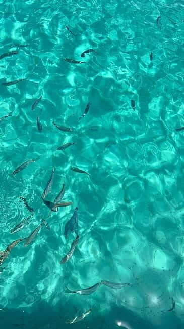 Zadar: Island Magic by Speedboat  A Paradise Escape - FAQ