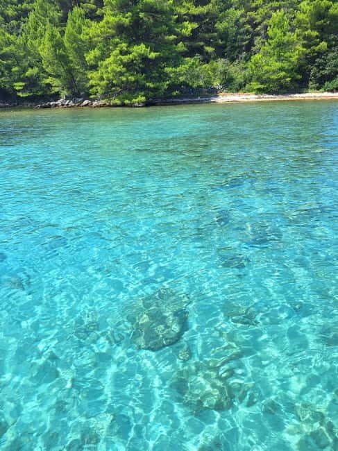 Zadar: Islands & Lagoons Tour with Drinks and ECO fruits... - Key Points