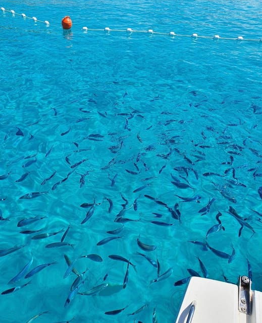 zadar-long-island-boat-tour-with-cave-visit