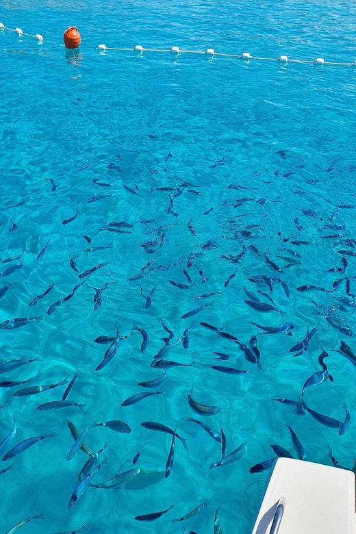 zadar-long-island-boat-tour-with-cave-visit