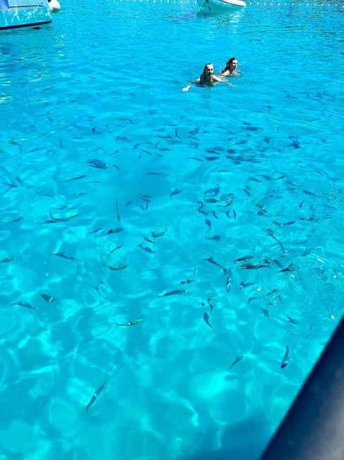Zadar: Luxury speedboat trip: 3 islands, vine & fruit - Pricing and Value