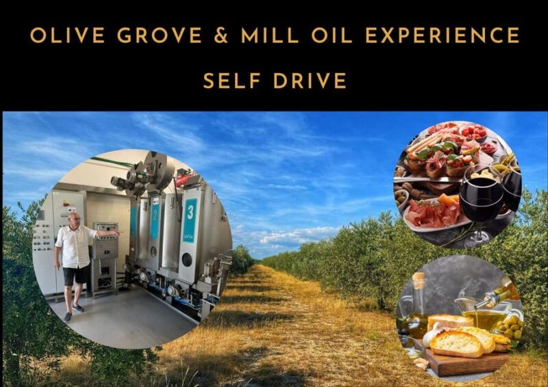 zadar-olive-grove-and-mill-tour-with-tasting-self-drive