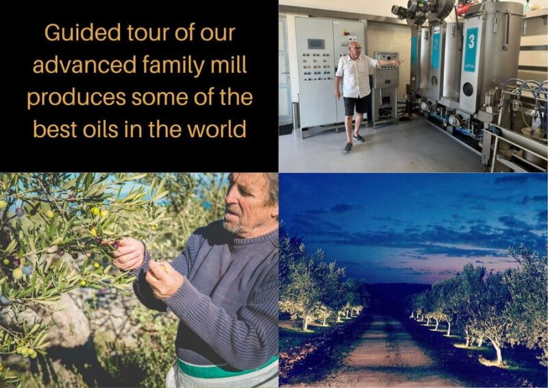 zadar-olive-grove-and-mill-tour-with-tasting-self-drive