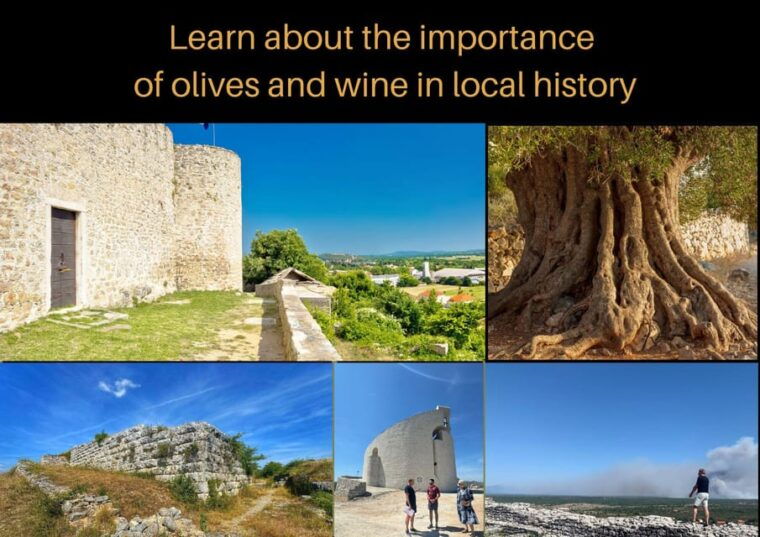 zadar-olive-grove-and-mill-tour-with-tasting-self-drive