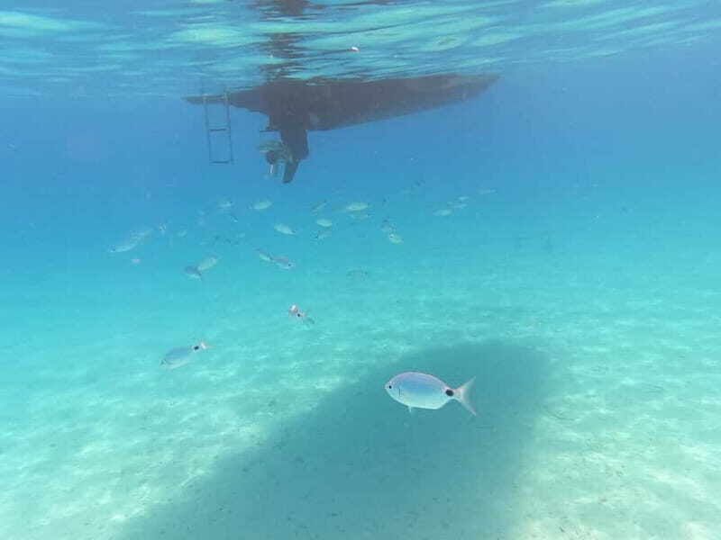 Zadar: Private SpeedBoat Tour to Islands - Drinks Included - Final Thoughts