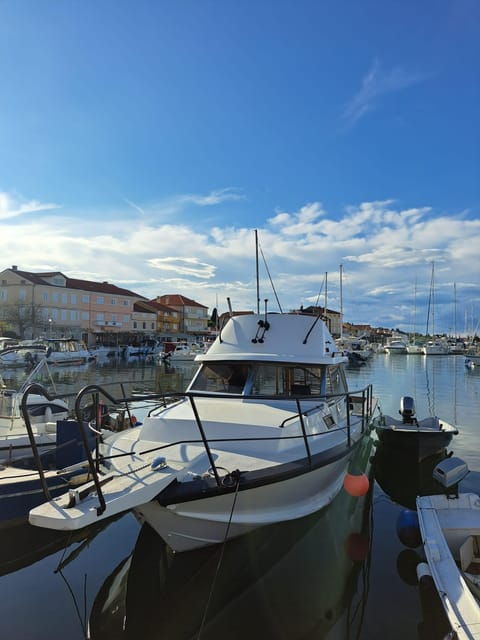 zadar-private-tour-to-ugljan-osljak-and-galevac-half-day