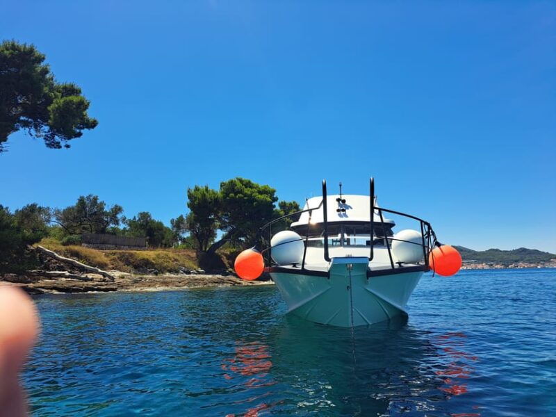 zadar-private-tour-to-ugljan-osljak-and-galevac-half-day