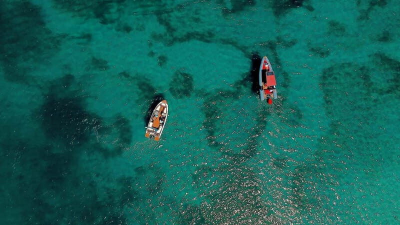 Zadar: Speedboat Tour with Snorkeling & Fruit - The Experience in Detail  