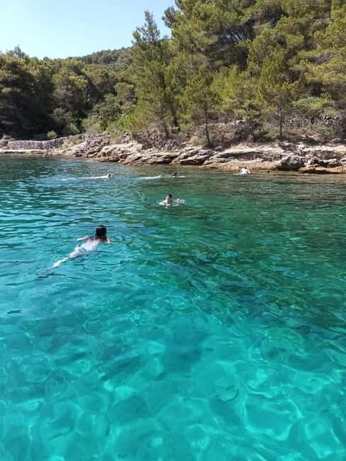 Zadar:Ugljan, Frnaa,Galevac &Oljak free beer & anchovies - Who Should Book This Tour?