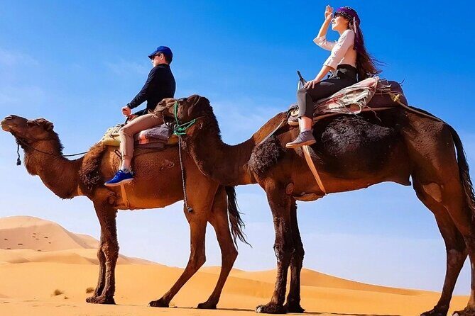 Zagora 2 Day Desert Safari and Luxury Camp From Marrakech - Key Points