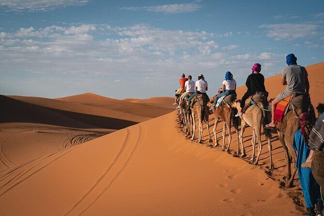 Zagora 2 Day Desert Safari and Luxury Camp From Marrakech - An In-Depth Look at the Experience