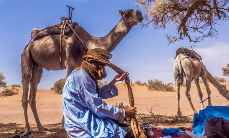 Zagora: 2 Days Sahara Desert Tour & Chigaga Starry Nights - Key Points