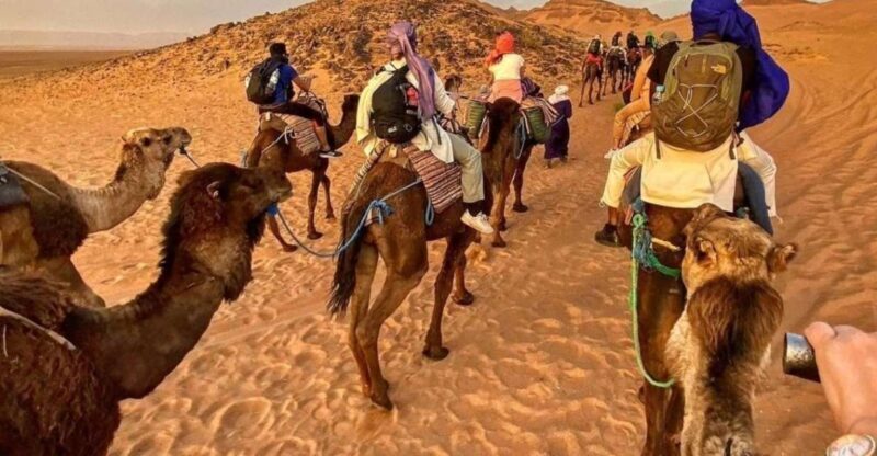 Zagora Desert: 2-Day 1-Night Desert Expedition to Remember - FAQ  