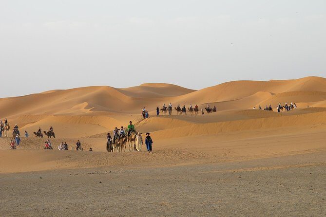 Zagora Desert and Draa Valley 2-Day Low Cost Group Tour - Key Points