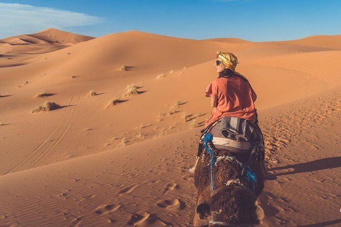 Zagora Desert Tour 1 night&2 days from Marrakech - Key Points