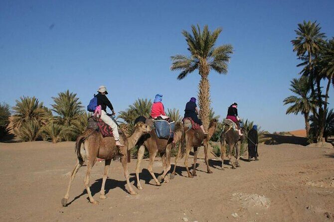 Zagora & Kasbahs 2 Day Desert Tour from Marrakech - Considerations & Potential Drawbacks