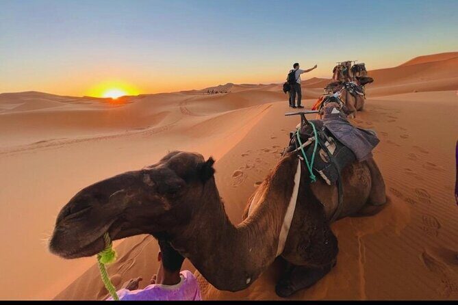 Zagora Mhamid, 3 Days Tour to Erg Chigaga Desert from Marrakech - Key Points