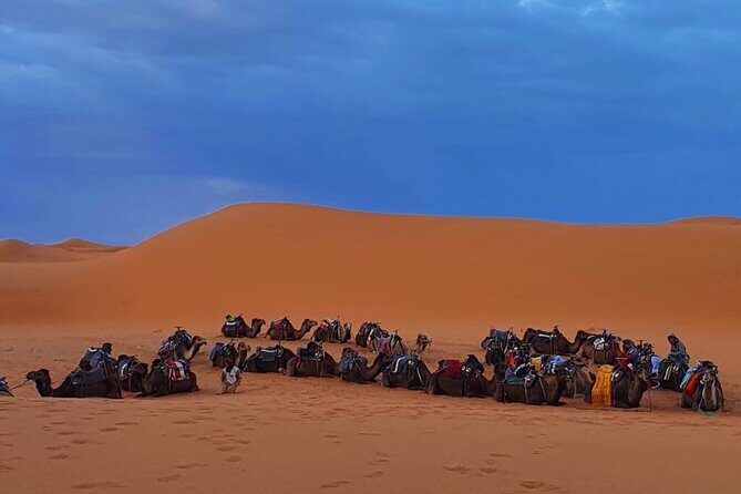 Zagora Mhamid, 3 Days Tour to Erg Chigaga Desert from Marrakech - FAQ