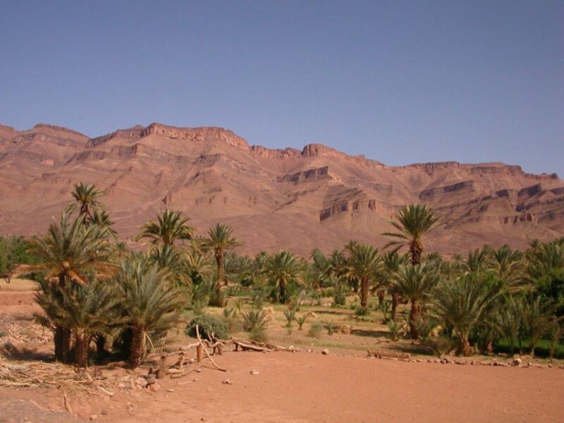 Zagora Sahara Desert Overnight Trip from Ouarzazate - Whats Included and Whats Not
