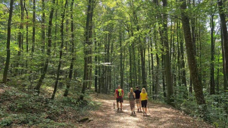 zagreb-hike-taste-city-nature-park-castle-local-dishes