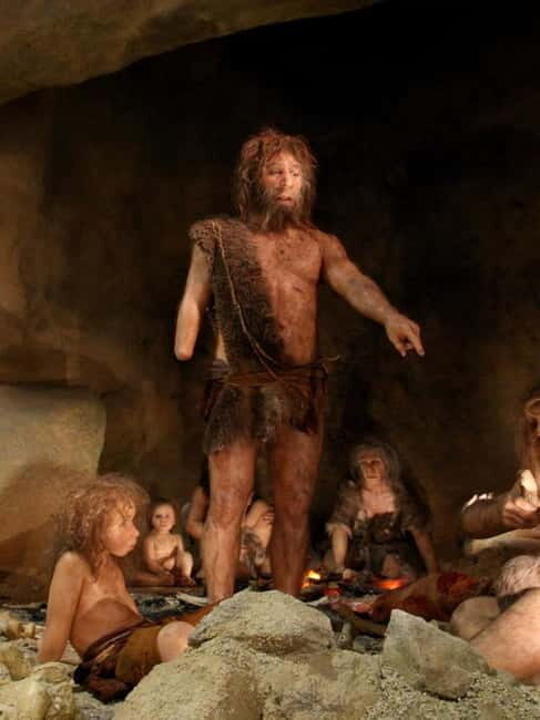 Zagreb: Krapina Neanderthal Museum & Trakoan Castle Tour - Exploring the Krapina Neanderthal Museum