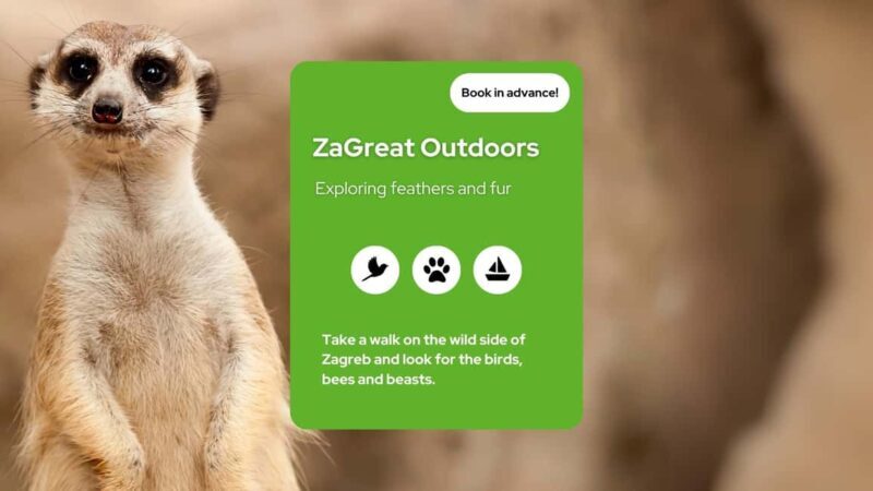 Zagreb: Science Tours, Zagreat Outdoors - The Sum Up