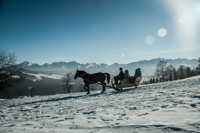 zakopane-and-horse-sleigh-ride-in-the-countryside-private-tour-from-krakow
